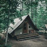 Camping Site