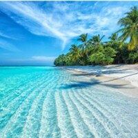 Beach holiday - 13,016 Apartments & Holiday Homes