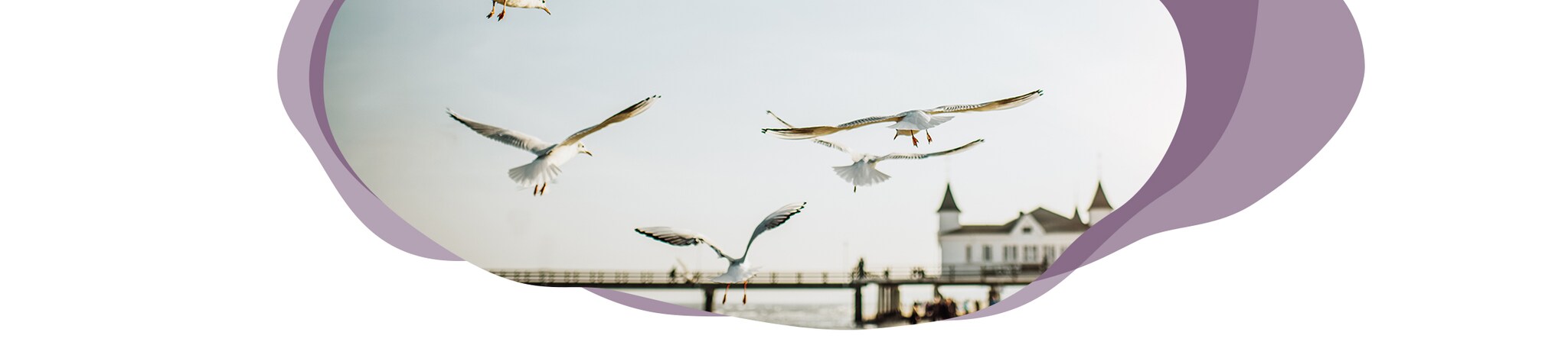 Digitale Reise Mecklenburg-Vorpommern Header