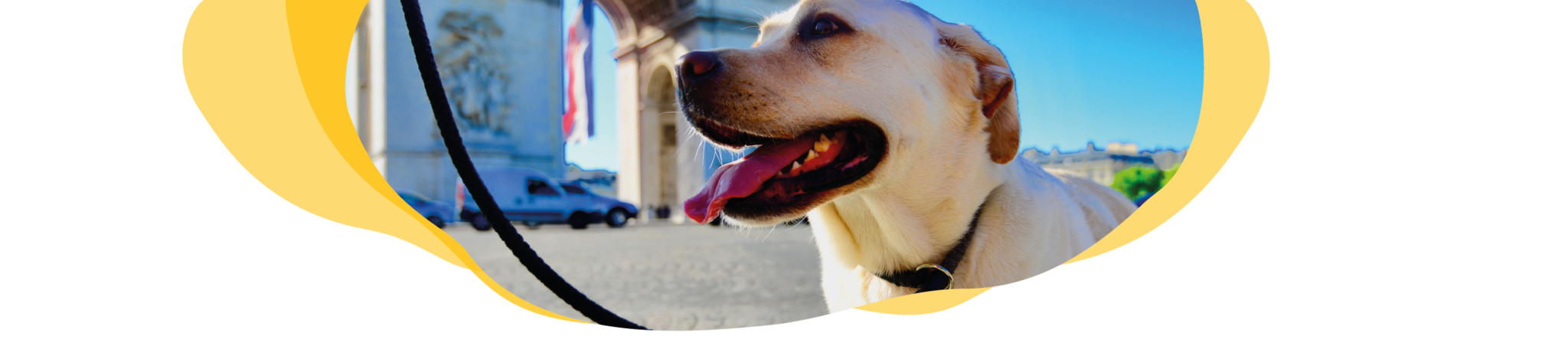 Einreise mit Hund nach Frankreich Header