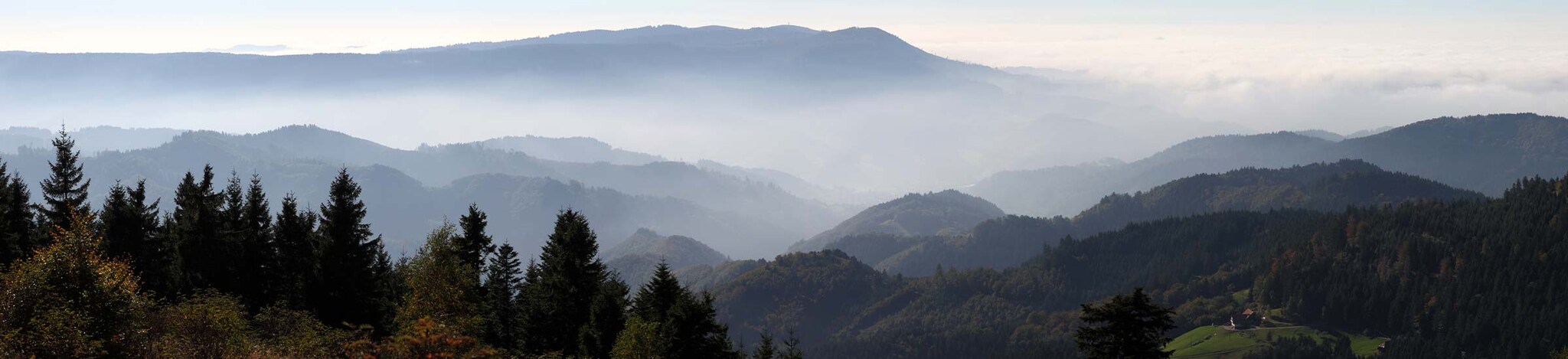 Der dunkle Schwarzwald mit dem Bergpanorama im Hintergrund